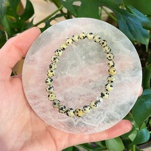 Dalmatian Jasper Healing Bracelet